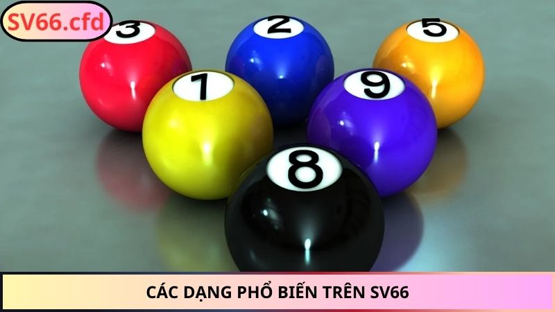 Các dạng phổ biến trên SV66